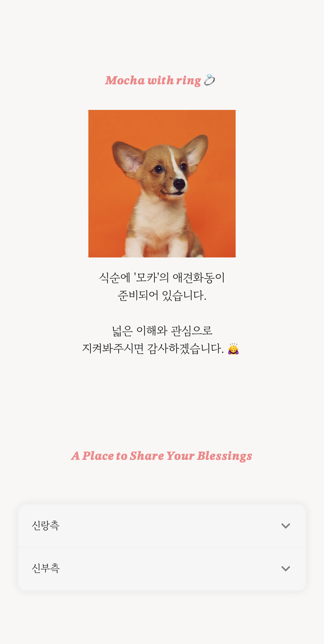 씬쿵 모바일 청첩장 실제 공개 미리보기 — 반려견 화동 안내 섹션